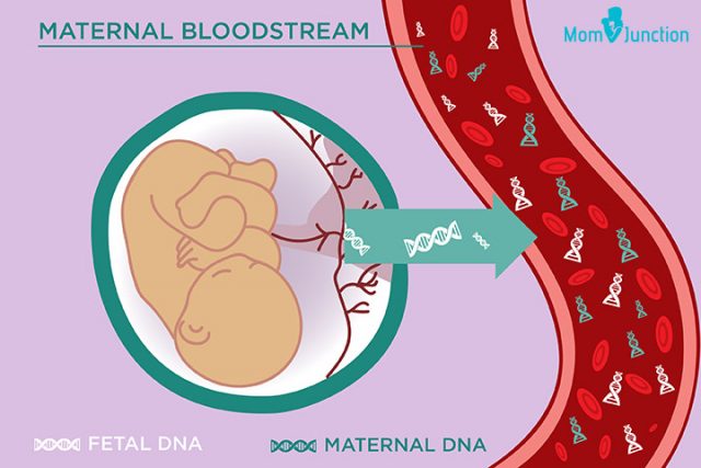 an-important-genetic-test-for-pregnant-women-will-soon-be-made-in