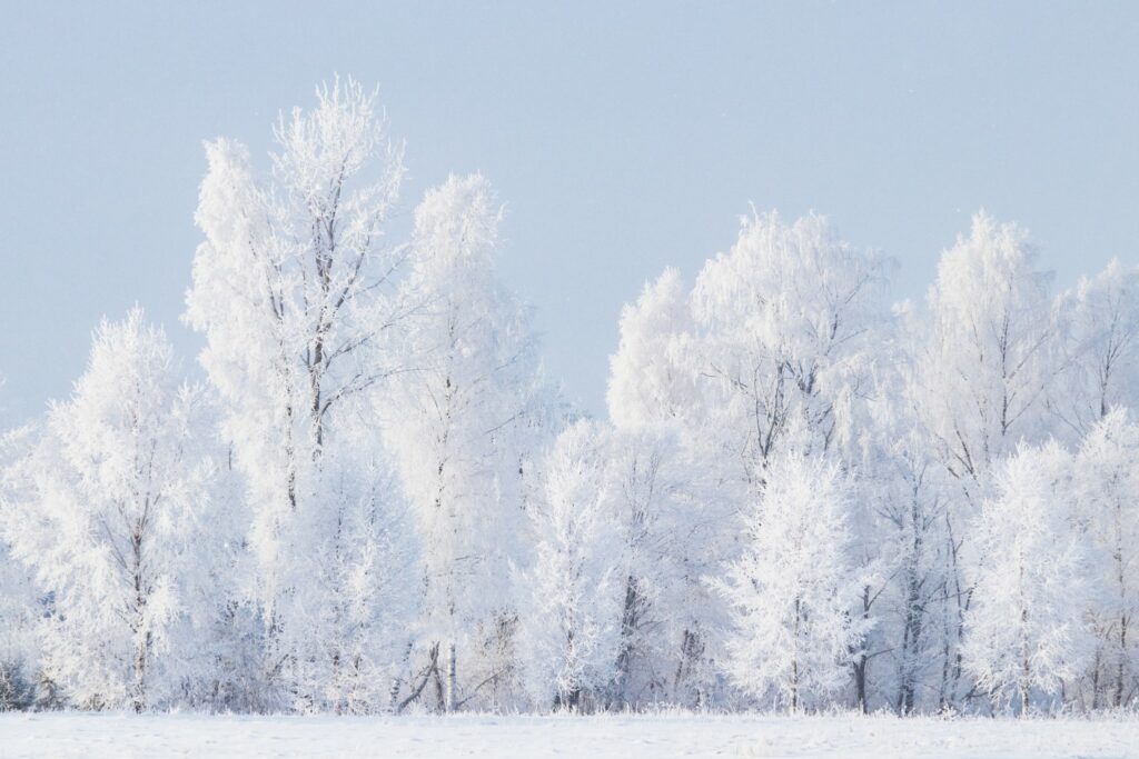 Climate patterns in Europe are about to change - Research In Estonia