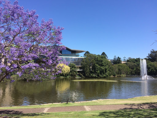 the campus of the Australian Institute for Bioengineering and Nanotechnology in Brisbane