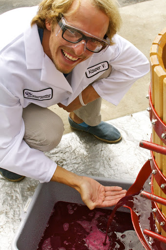 Working in Genomatica involved fermentations of many kinds, including wine-making.