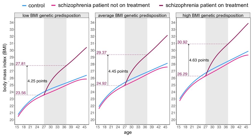 The trajectory of changes in body mass index in people with different body mass index predispositions, if treatment for schizophrenia begins at age 27. Author/source: Maris Alver