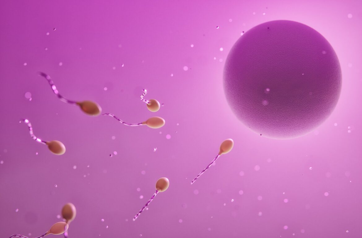 infertility sperm