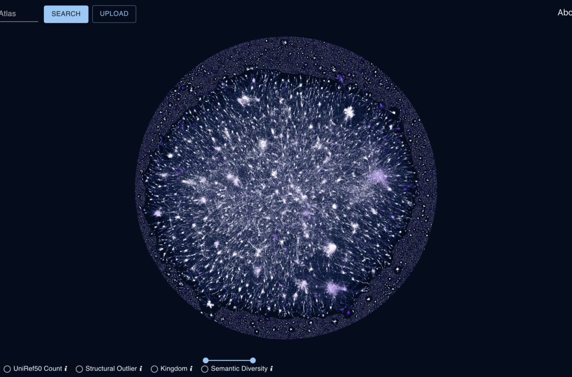 The protein universe: an interactive version of the protein sequence similarity network. Source: Tartu University