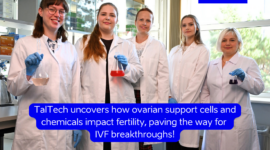 An inspiring team driving groundbreaking advances in reproductive science! From the left: Triin Sild, Inge Varik, Agne Velthut-Meikas, Katariina Johanna Saretok, Airi Rump. Photo: TalTech.