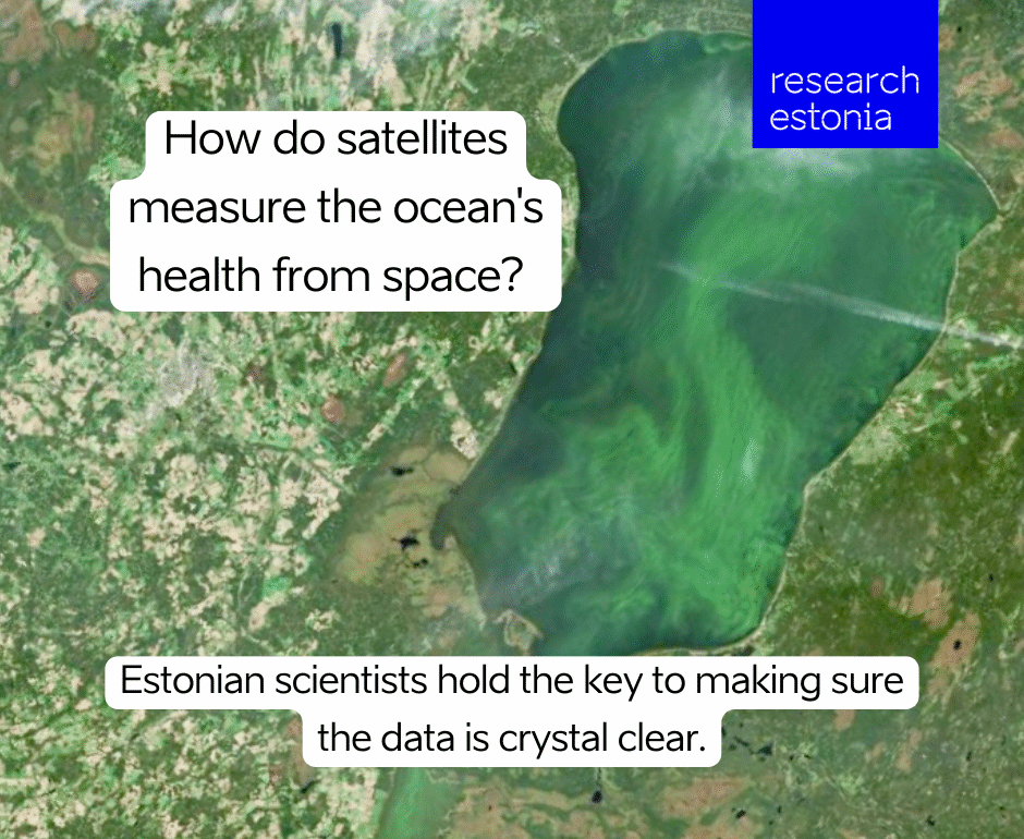 Algal bloom in Lake Peipsi. Image Sentinel-2. Copernicus Sentinel data 2024. Satellite