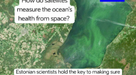 Algal bloom in Lake Peipsi. Image Sentinel-2. Copernicus Sentinel data 2024. Satellite