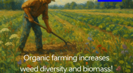 biomass
