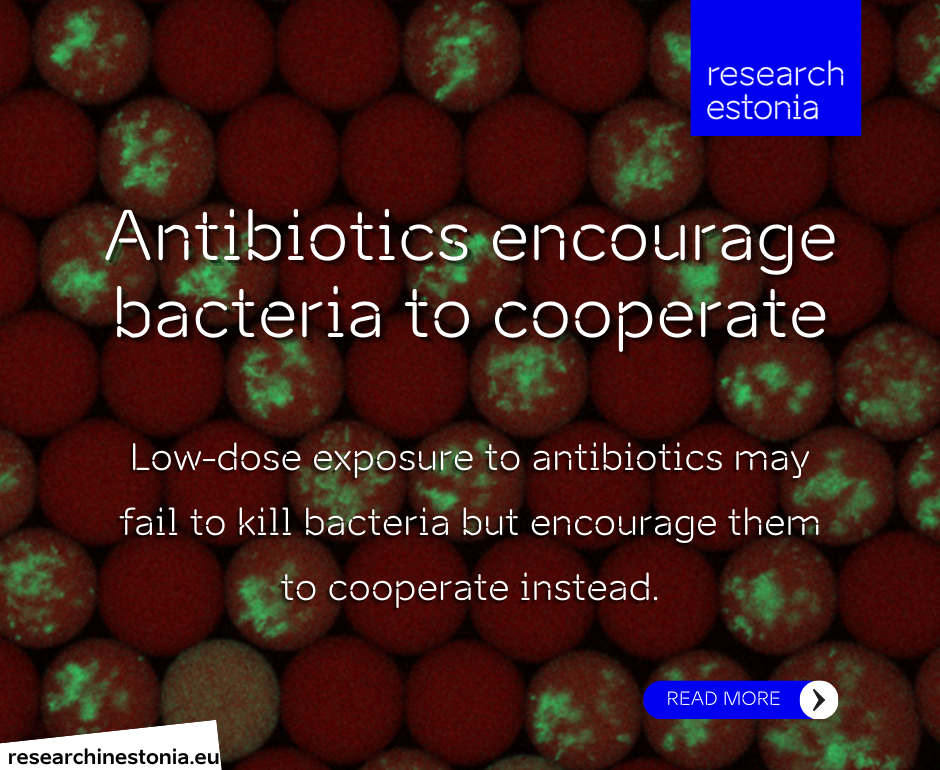 light signal of bacterial clusters in droplets