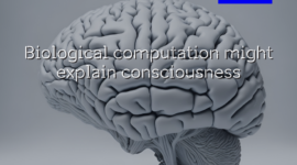 Biological computation