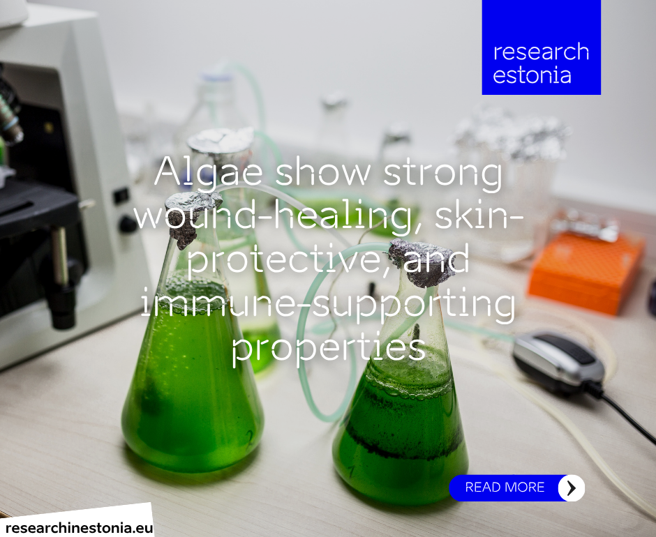 Microalgae at laboratory of Estonian University of Life Sciences