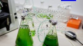 Microalgae at laboratory of Estonian University of Life Sciences