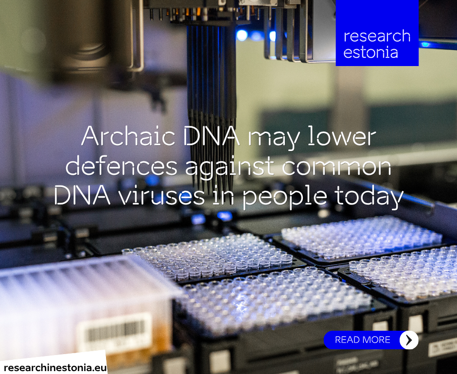 Archaic DNA Fb