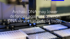 Archaic DNA Fb