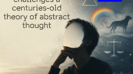 digital media (16)