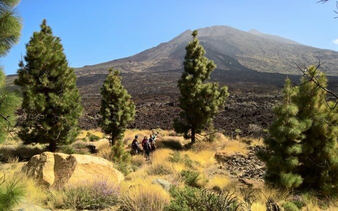 Volcanic islands offer a great opportunity for studying how the initially completely lifeless islands are populated by plant and animal species. The photo shows the lava fields in Tenerife that have not been populated by pine forests or herbaceous plants yet. Author/source: Madli Jõks