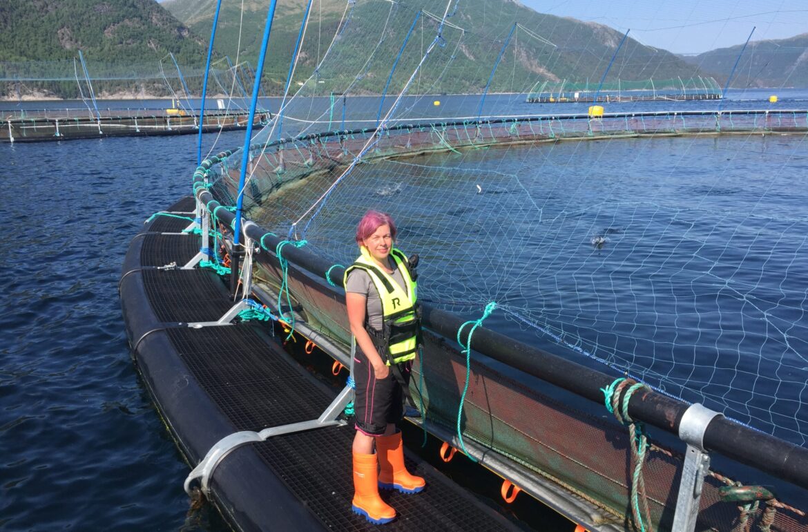 Taltech professor Maarja Kruusmaa monitoring the progress of the U-CAT fish-robot interaction experiments at SalMar fish farm. Photo credit: TalTech.