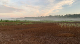 The Sangal peat extraction area in Estonia. Photo credit: Kuno Kasak
