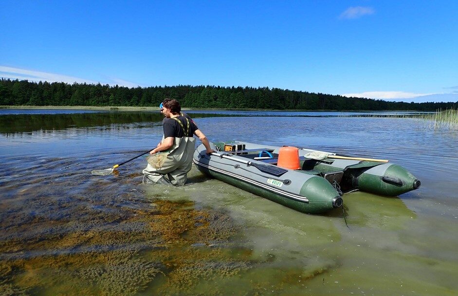 The researchers sampling Northern pike at Mullutu-Suurlaht on Saaremaa. Photo credit: Alfonso Diaz Suarez