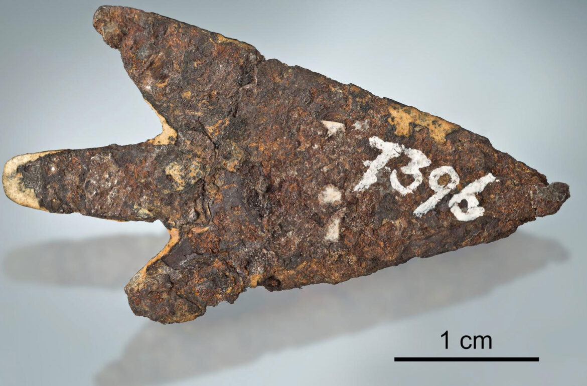 Mörigen arrowhead. Note adhering bright sediment material. Remnants of an older label on the left of the sample number. Total length is 39.3 mm. Source: zvg/Thomas Schüpbach
