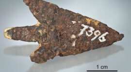 Mörigen arrowhead. Note adhering bright sediment material. Remnants of an older label on the left of the sample number. Total length is 39.3 mm. Source: zvg/Thomas Schüpbach